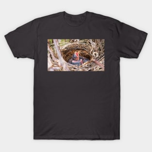 Baby Northern Cardinal In Its Nest T-Shirt